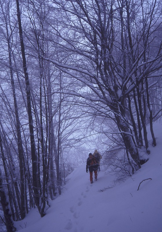 Paesaggio ovattato